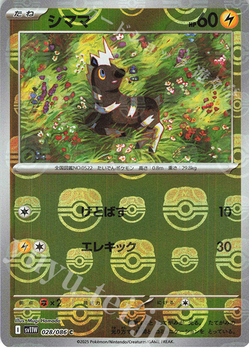 C シママ(マスターボール柄/ミラー仕様) | 販売 | [SV11W] 拡張パック ホワイトフレア | ポケモンカードゲーム
