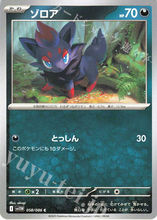 C ゾロア | 販売 | [SV11W] 拡張パック ホワイトフレア | ポケモンカードゲーム