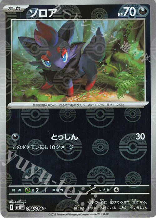 C ゾロア(モンスターボール柄/ミラー仕様) | 販売 | [SV11W] 拡張パック ホワイトフレア | ポケモンカードゲーム