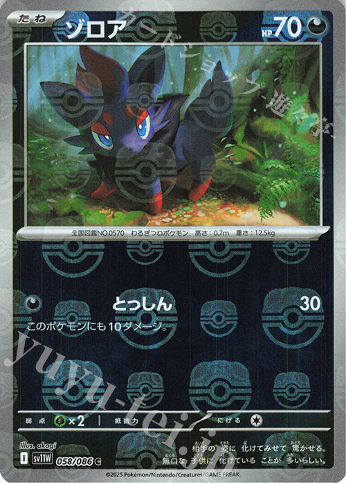 C ゾロア(マスターボール柄/ミラー仕様) | 販売 | [SV11W] 拡張パック ホワイトフレア | ポケモンカードゲーム