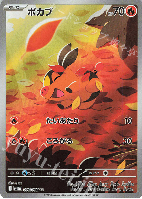 AR ポカブ | 販売 | [SV11W] 拡張パック ホワイトフレア | ポケモンカードゲーム