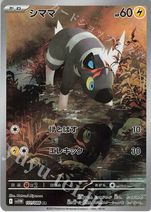 AR シママ | 販売 | [SV11W] 拡張パック ホワイトフレア | ポケモンカードゲーム