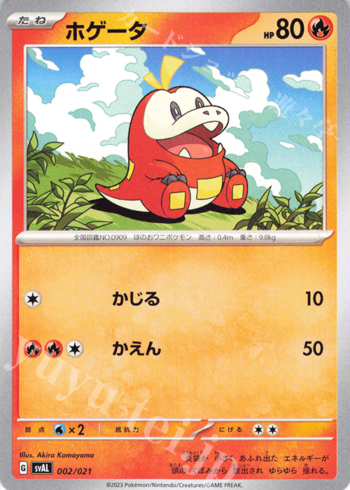 TD ホゲータ(ノーマル仕様) | 販売 | [SVAL] スターターセットex ホゲータ&デンリュウex | ポケモンカードゲーム