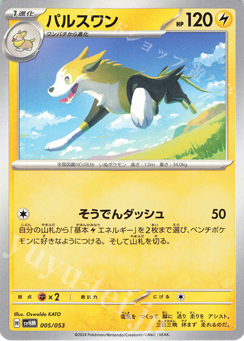 - パルスワン | 販売 | [SVHM] スターターデッキ＆ビルドセット 未来のミライドンex | ポケモンカードゲーム