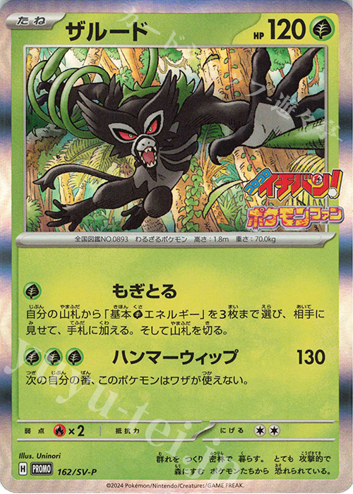 PROMO ザルード | 買取 | SV プロモーションカード【101〜200】 | ポケモンカードゲーム