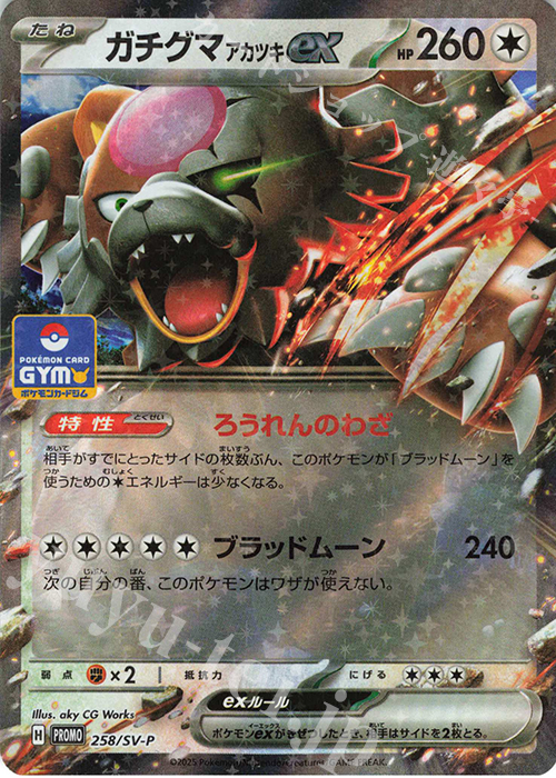 PROMO ガチグマアカツキex | 買取 | SV プロモーションカード【201〜300】 | ポケモンカードゲーム