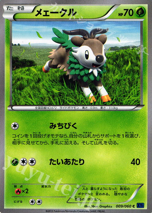 C メェークル | 販売 | [XY1] コレクションX | ポケモンカードゲーム