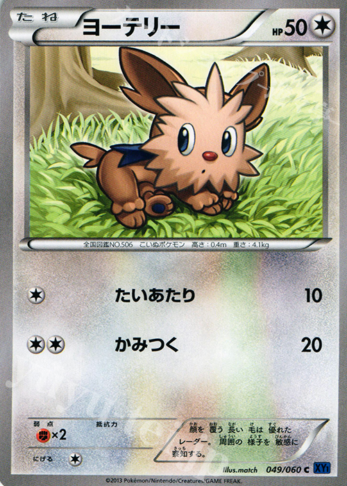 C ヨーテリー | 販売 | [XY1] コレクションX | ポケモンカードゲーム