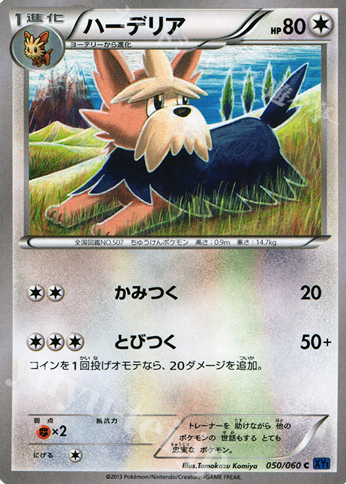 050 060 C ハーデリア 販売 ポケモンカードゲーム カードショップ 遊々亭