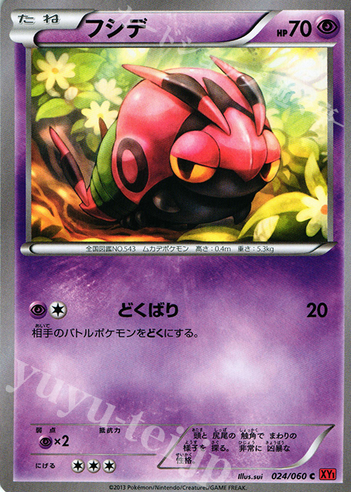 C フシデ | 販売 | [XY1] コレクションY | ポケモンカードゲーム