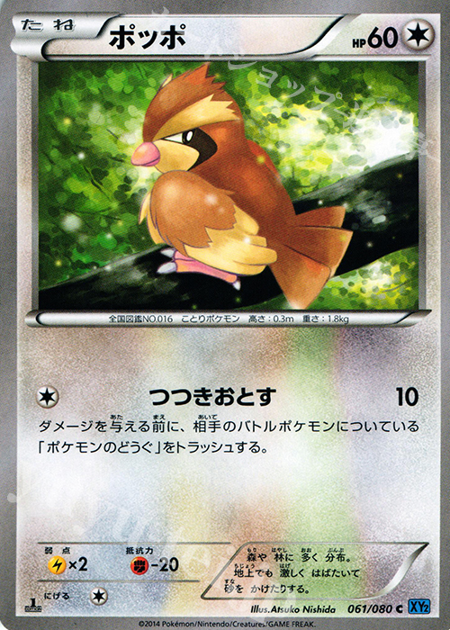 C ポッポ | 販売 | [XY2] ワイルドブレイズ | ポケモンカードゲーム