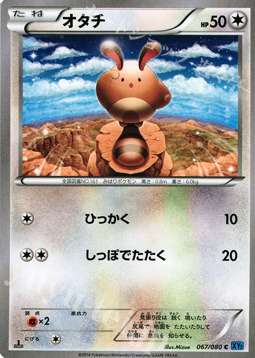 C オタチ | 販売 | [XY2] ワイルドブレイズ | ポケモンカードゲーム