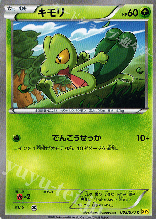 C キモリ | 買取 | [XY5] ガイアボルケーノ | ポケモンカードゲーム