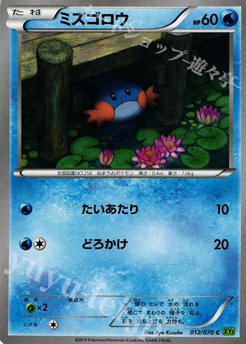 C ミズゴロウ | 販売 | [XY5] タイダルストーム | ポケモンカードゲーム