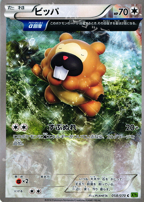 C ビッパ | 販売 | [XY5] タイダルストーム | ポケモンカードゲーム