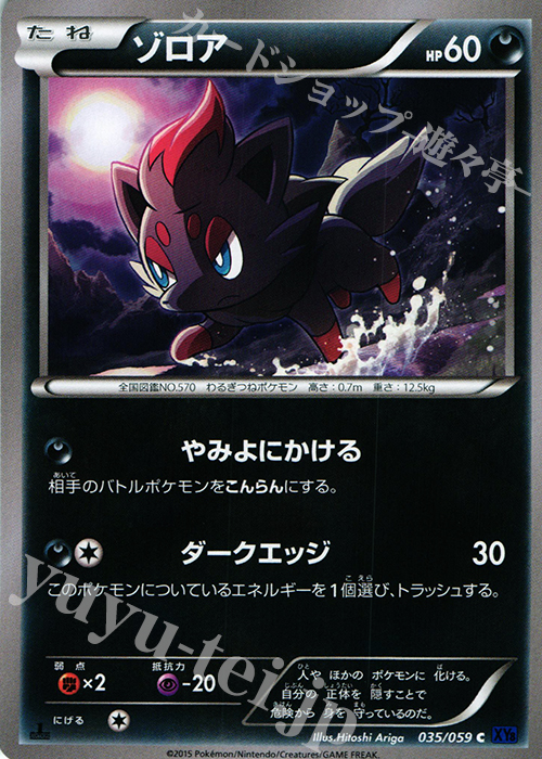 C ゾロア | 販売 | [XY8] 青い衝撃 | ポケモンカードゲーム