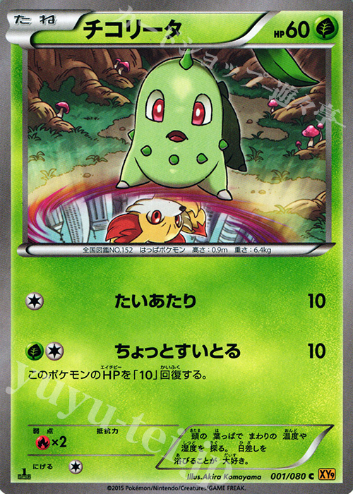 C チコリータ | 販売 | [XY9] 破天の怒り | ポケモンカードゲーム