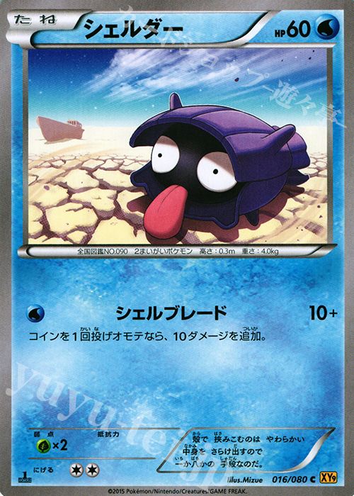 C シェルダー | 販売 | [XY9] 破天の怒り | ポケモンカードゲーム