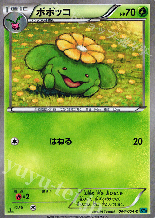 ポポッコ C 004 054 販売 ポケモンカードゲーム カードショップ 遊々亭