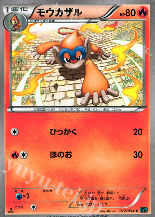 C モウカザル | 販売 | [XY11] 冷酷の反逆者 | ポケモンカードゲーム