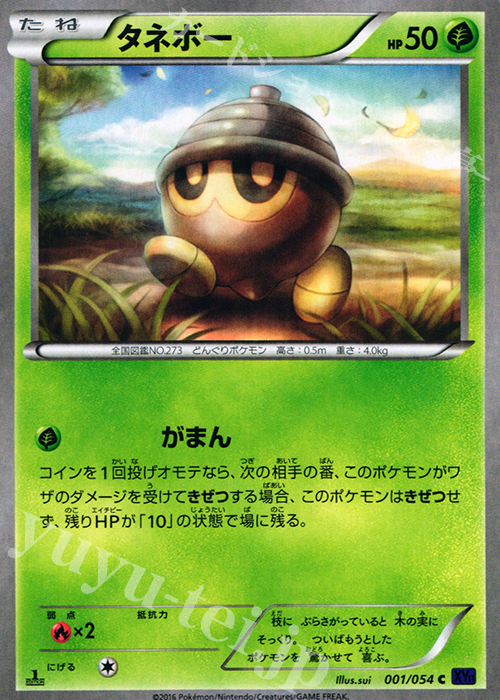 C タネボー | 販売 | [XY11] 爆熱の闘士 | ポケモンカードゲーム
