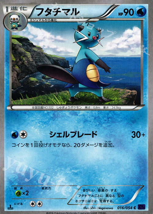 C フタチマル | 販売 | [XY11] 爆熱の闘士 | ポケモンカードゲーム