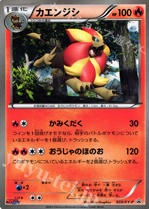 033 Xy P Promo カエンジシ 買取 ポケモンカードゲーム カードショップ 遊々亭