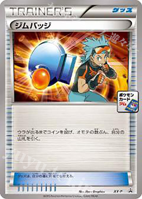 PROMO ジムバッジ(トウキ) | 販売 | XY プロモーションカード【その他】 | ポケモンカードゲーム