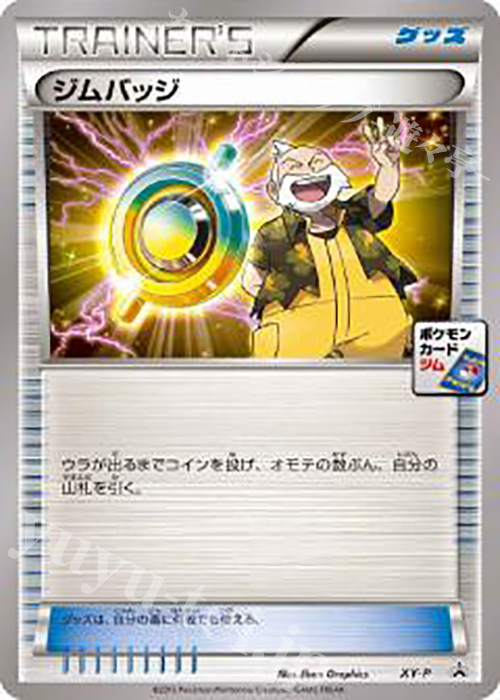 【傷】 PROMO ジムバッジ(テッセン) | 販売 | XY プロモーションカード【その他】 | ポケモンカードゲーム