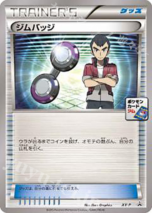 PROMO ジムバッジ(センリ) | 販売 | XY プロモーションカード【その他】 | ポケモンカードゲーム