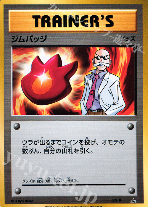 PROMO ジムバッジ(カツラ) | 販売 | XY プロモーションカード【その他】 | ポケモンカードゲーム
