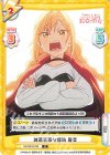  DK/001B-030 R 滅茶苦茶な理論 唐音 