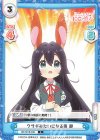  DK/001B-049 C ウサギみたいになる薬 静 