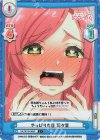  DK/001B-088S C+ やっぱり盲目 羽々里 