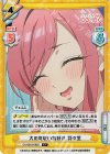  DK/001B-089S C+ 大の可愛い物好き 羽々里 