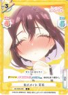 DK/002B-060 R 忠犬メイド 芽衣