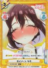 DK/002B-060S R+ 忠犬メイド 芽衣