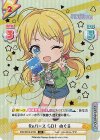 IMS/001B-016S IR Reバース GO！ めぐる（サイン入り）