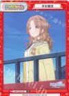  IMS/002B-P023 P 市川雛菜 