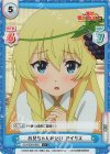  KS/003B-069S C+ お兄ちゃんみたい アイリス 