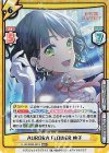 LLHS/002B-061S RRR+ AURORA FLOWER 吟子（箔押し入り）