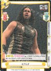 NJPW/003B-020S RR+ ヒクレオ