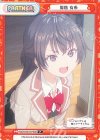 RSDR/001B-P006 P 周防 有希 