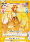  SKNK/001B-005 RR 金色に輝く のこたん 