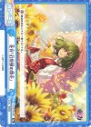 TH/001B-097 Re 花符「幻想郷の開花」(再録版)