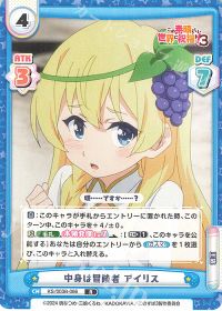 中身は冒険者 アイリス
