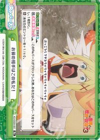 お前の相手はこの私だ！