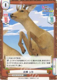 共鳴 シカ