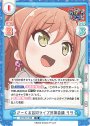 TD さーくる合同ライブ対策会議 リサ