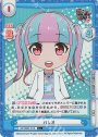 C+ パレオ